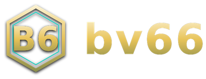 bv66 logo